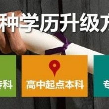 成都市金牌思維教育咨詢有限責(zé)任公司 專業(yè)教育咨詢，點(diǎn)亮成長(zhǎng)之路